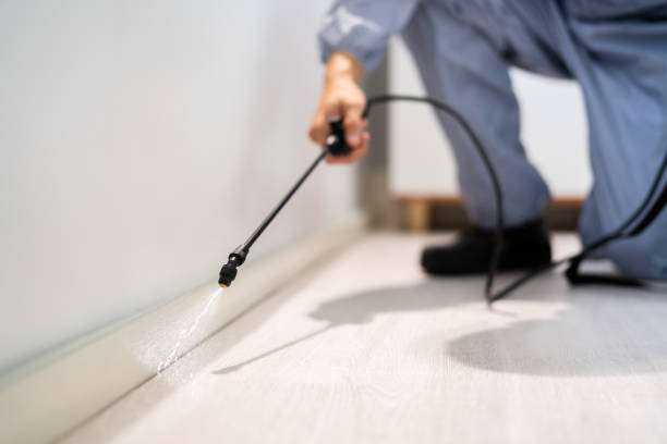 Licensed Mosquito Control service in Baldwin, FL - Show Me Pest Control
