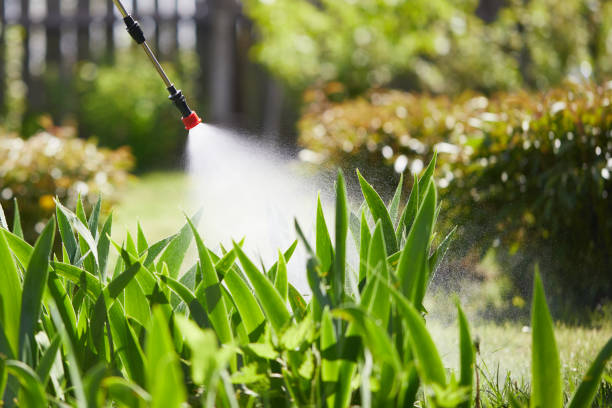 24/7 Emergency Mosquito Control experts in Baldwin, FL