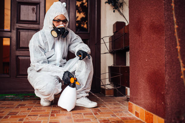 Reliable Mosquito Control contractor in Baldwin, FL by Show Me Pest Control